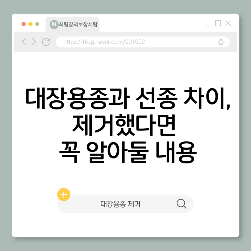 대장용종과 선종 차이, 제거했다면 꼭 알아둘 내용