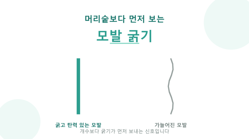 모발콜라겐 효능과 고르는 법, 머리숱 많아지는법 (건강한 식당 28회)