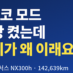 "ECO 모드 항상 켰는데 연비가 왜 이래요?" 2015 렉서스 NX300h 14만km 하이브리드 배터리팩 교체