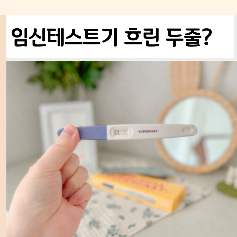 임테기사용시기 임신테스트기 희미한 두줄, 결국 오류였어요