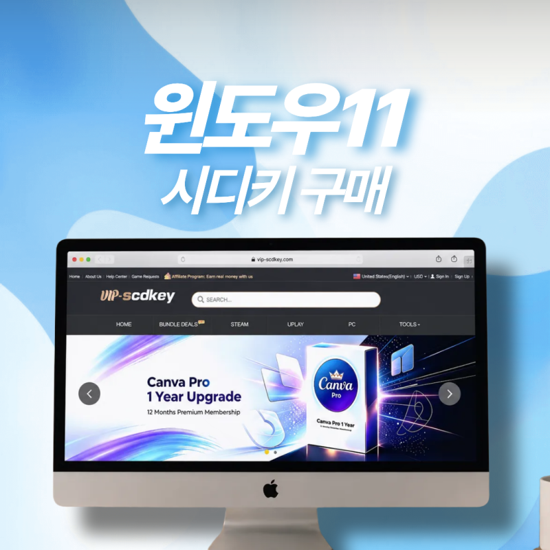 윈도우11 정품 시디키 종류 비교, DSP 구매 및 3만원대에 정품인증 방법
