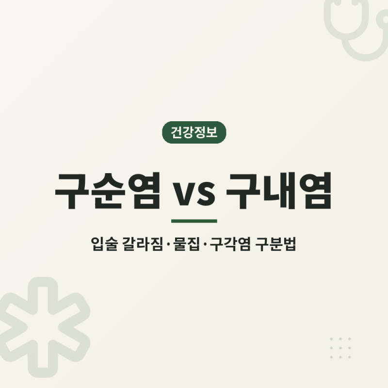 구순염 구내염과 차이부터 입술 갈라짐·입술 물집·구각염 구분하는 법