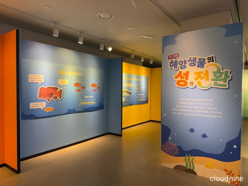 부산 기장 아이와 함께 가기 좋은 곳, 국립수산과학원수산과학관