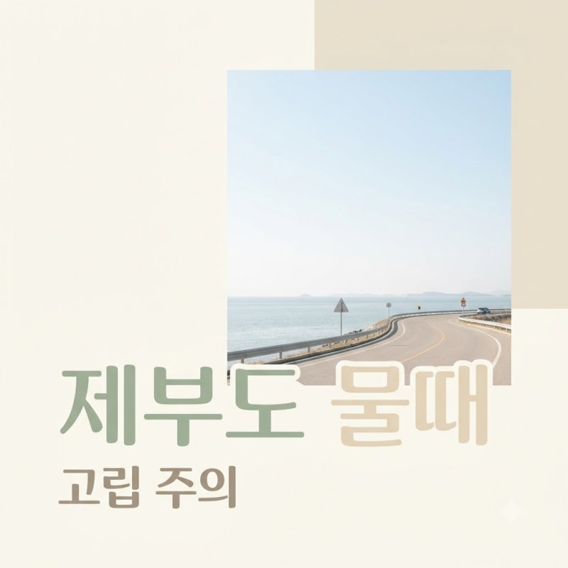 "나만 믿으라더니.." 제부도물때시간표 모르고 갔다 고립될 뻔한 사연