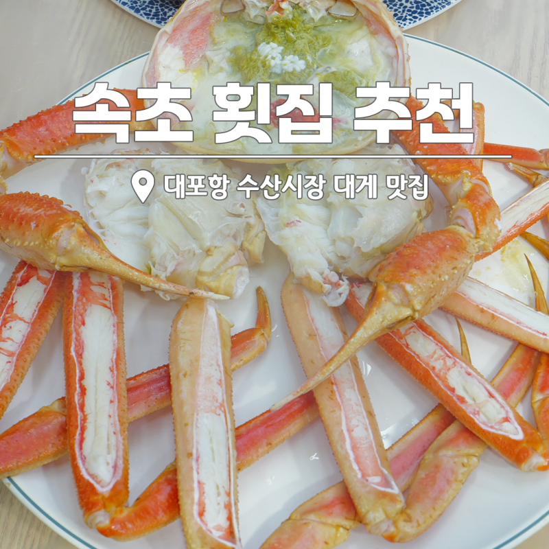 속초 횟집 추천 대포항 수산시장 대게 맛집