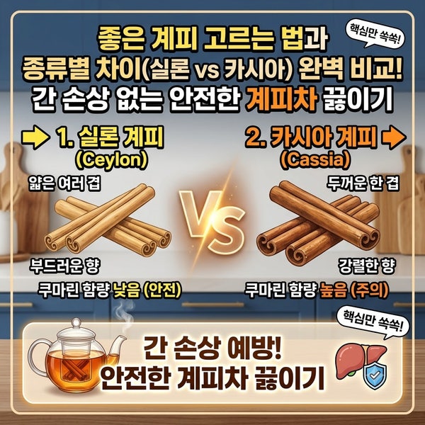 좋은 계피 고르는 법과 종류별 차이(실론 vs 카시아) 완벽 비교! 간 손상 없는 안전한 계피차 ....