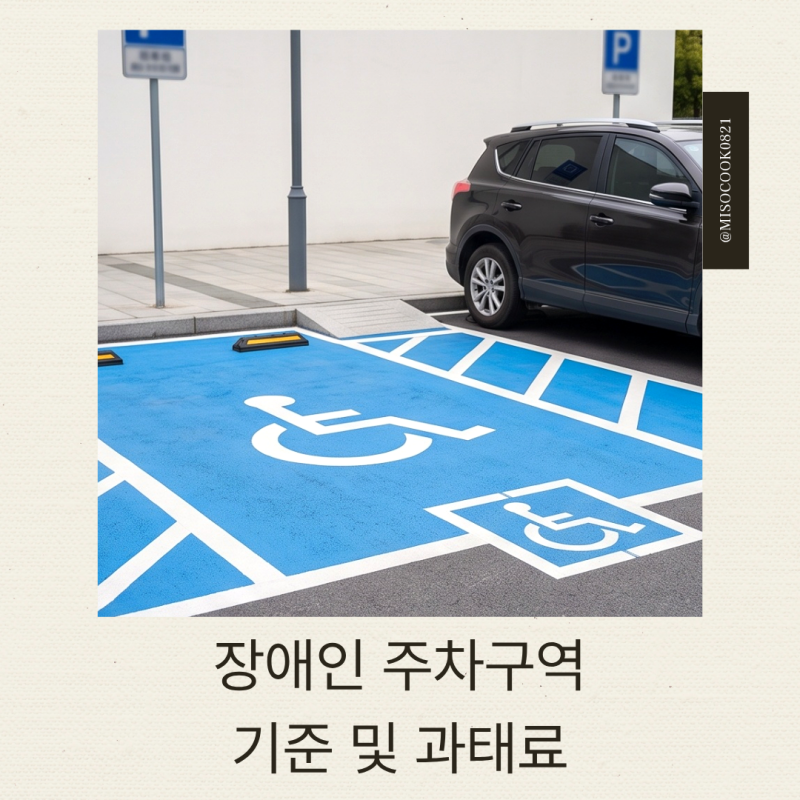 장애인 주차구역 기준 : 합법적 이용 자격과 위반 과태료 총정리