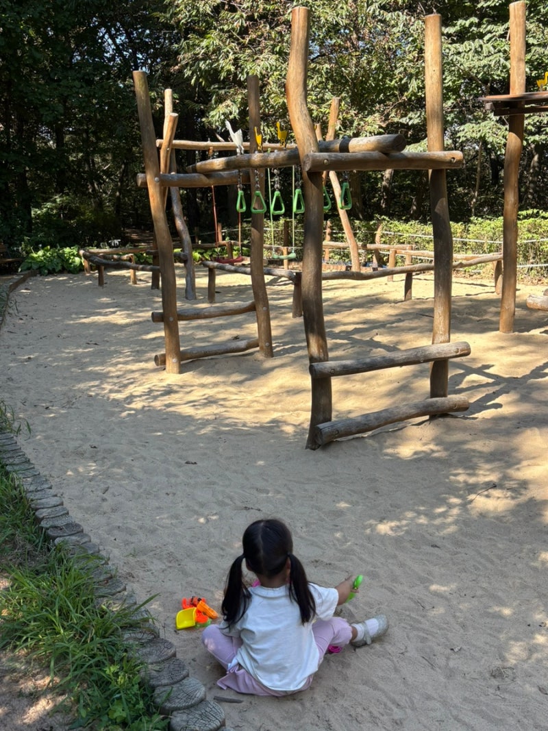 동탄 호수공원 유아숲체험원 숲놀이터부터 모래놀이까지 가능한 동탄 아이랑 가볼만곳 추천