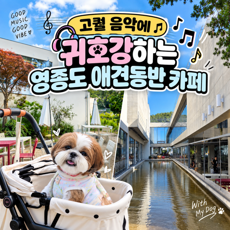 귀호강하는 인천 영종도 애견동반 카페, 베토벤하우스