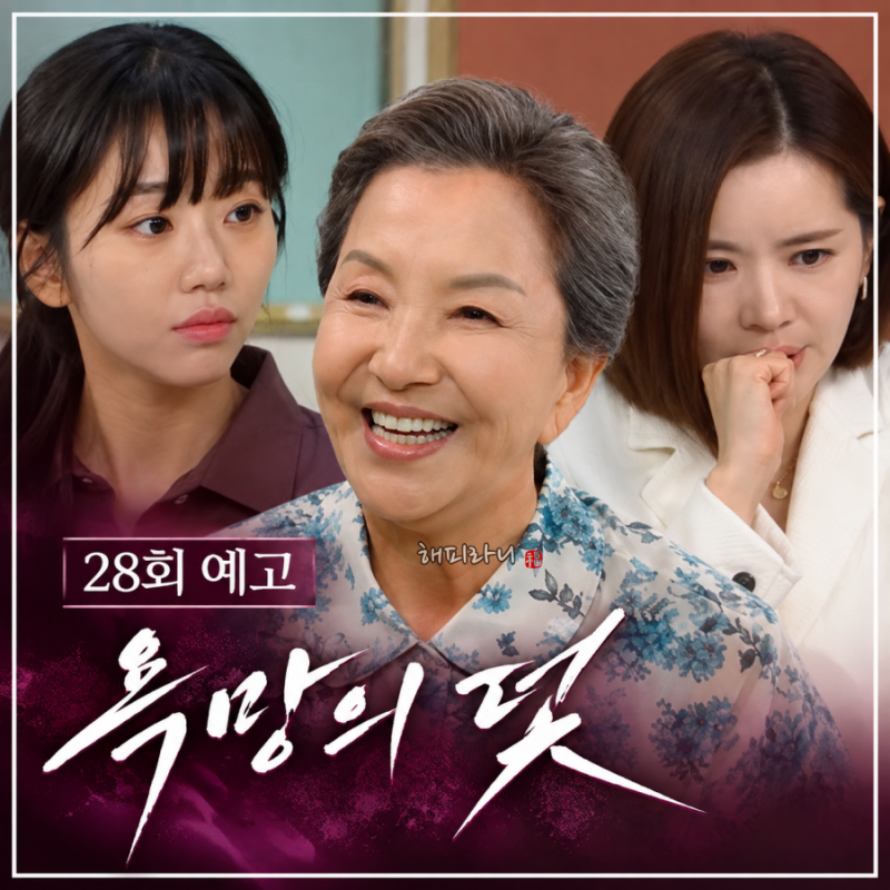 욕망의 덫 28회 줄거리 설정환 커플링 선택에 전혜원 울컥 왕금자 활약은 언제쯤?(29회예고)