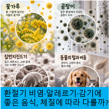 환절기 비염·알레르기·감기에 좋은 음식, 체질에 따라 다를까?