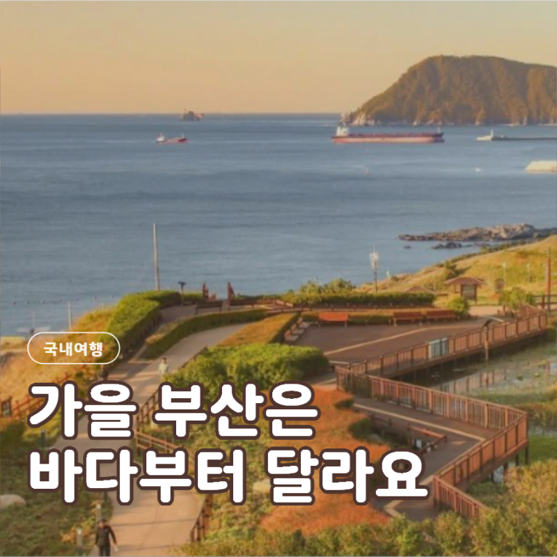 부산 가볼만한곳 가을에 바다 보면서 돌아보기 좋은 곳 BEST 5