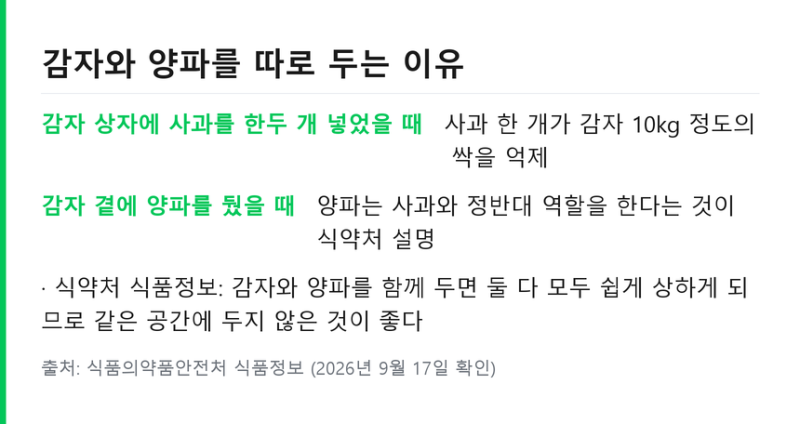 감자 양파 보관법 따로 둬야 하는 이유 .. 솔라닌 싹 처리 기준 정리