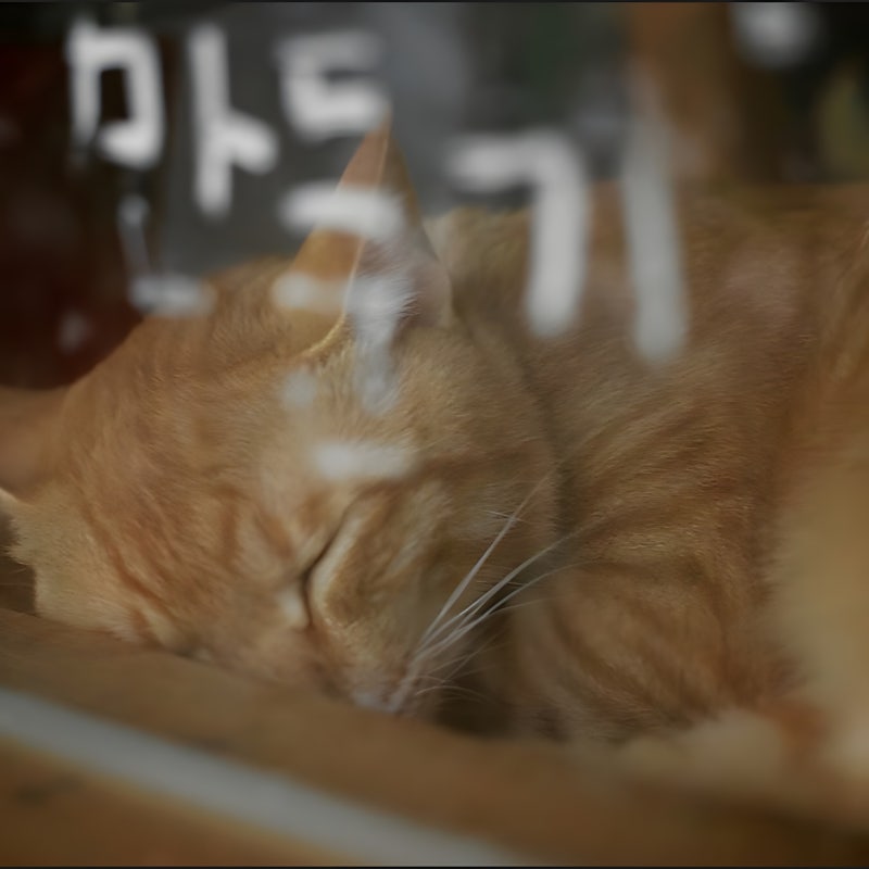 "산까지 안 가도 되네" 9월 가을 전주 한옥마을, 은행나무·단풍에 향교·경기전·'이 언덕' 전....
