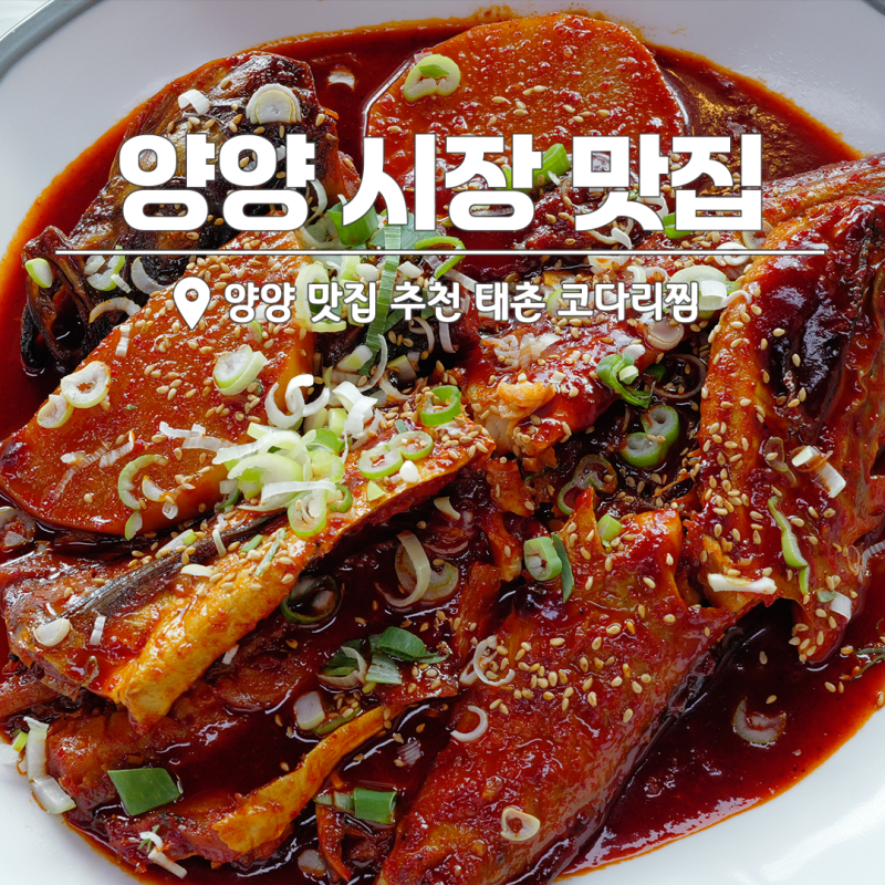양양 전통시장 5일장 시장 맛집 추천 태촌 코다리찜