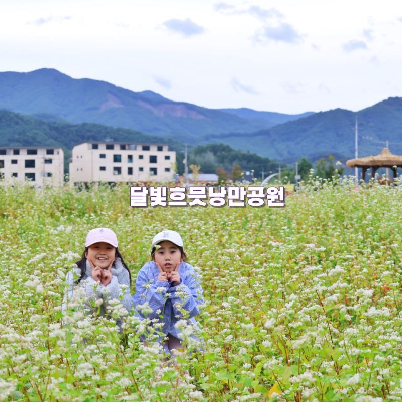평창 가볼만한곳 국내여행지 추천 메밀꽃밭 달빛흐믓낭만공원
