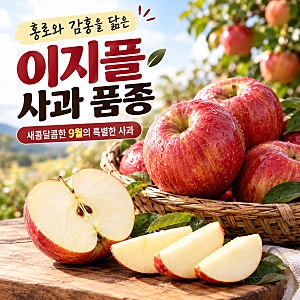 이지플 사과 품종, 맛과 수확시기부터 홍로 감홍 차이까지