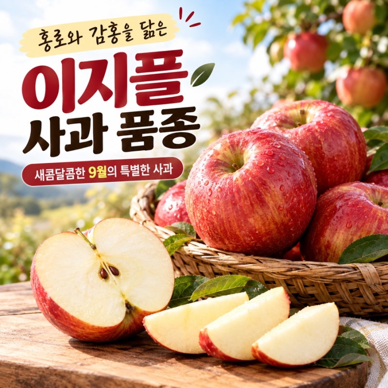 이지플 사과 품종, 맛과 수확시기부터 홍로 감홍 차이까지