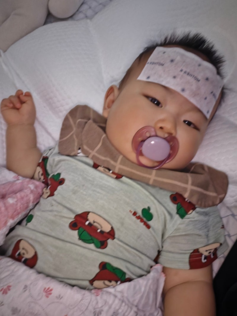 9월 어린이집 등원 후 39.9도 고열과 열꽃, 돌치레·돌발진 언제까지?(실제 후기)