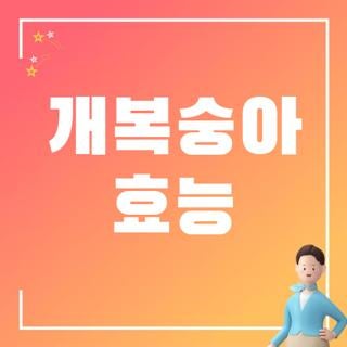 개복숭아 효능 천식 비염 먹는방법 직접 해보고 느낀 완벽정리