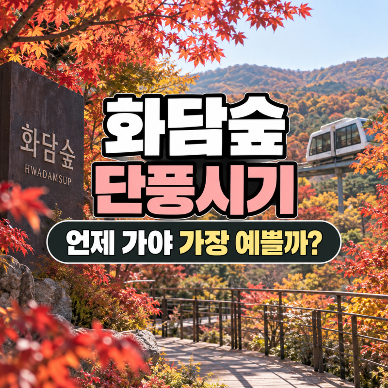 화담숲 단풍시기 2026, 절정 언제일까? 10월·11월 초 방문시기 정리