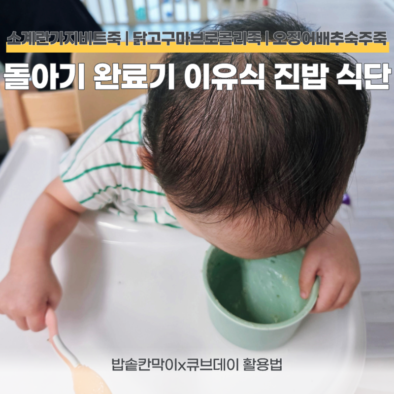 돌아기 완료기 이유식 진밥 식단 추천 | 소고기 계란가지비트죽 | 닭고기 고구마브로콜리죽 |....