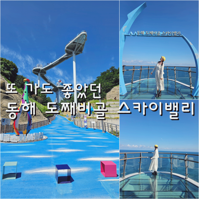 동해 가볼만한곳 도째비골 스카이밸리 해랑전망대 동해 바다뷰 여행