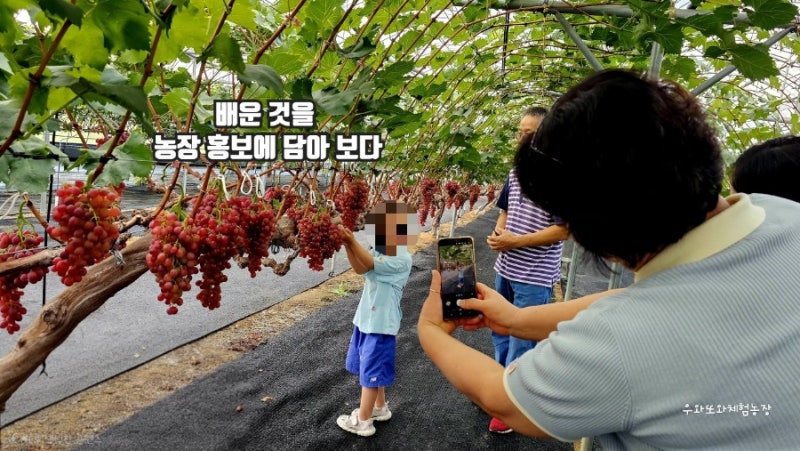 경주 농촌체험 우와또와체험농장, 4주간 배운 경영마케팅을 농장 홍보에 담아봤어요