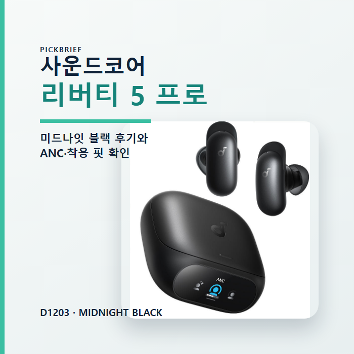 앤커 사운드코어 리버티 5 프로 D1203 미드나잇 블랙, 3대 멀티포인트 전에 볼 조건