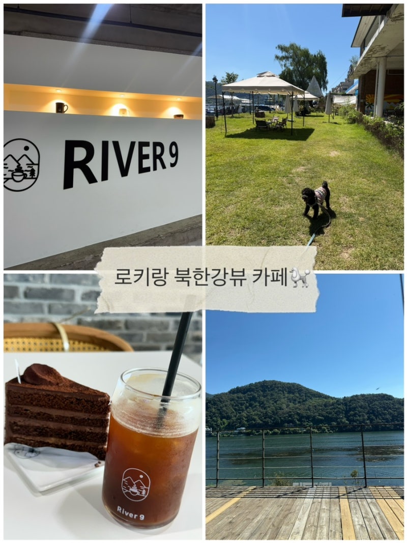 남양주 애견동반 카페 리버나인｜북한강 뷰 루프탑 후기