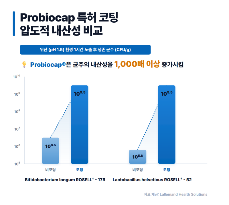 강아지 고양이 유산균 추천: 투입균수에 속지 마세요