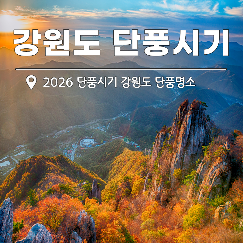 2026 단풍시기 가을 단풍명소 강원도 여행지 추천 BEST 5