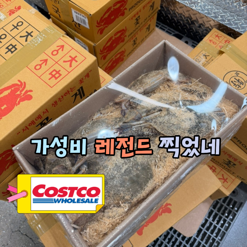 오늘부터 시작된 코스트코 꽃게 행사… 이 가격이면 장바구니 담아야겠는데?