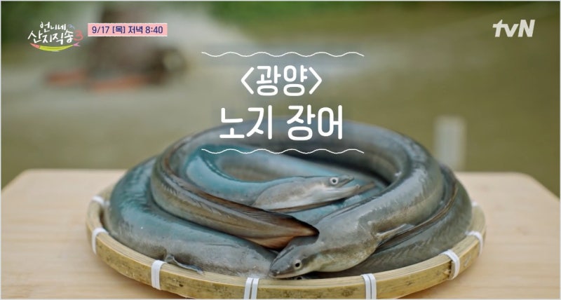 '언니네 산지직송3' 광양 노지장어 조업, 게스트 지진희 촬영지 어디 노지황토장어