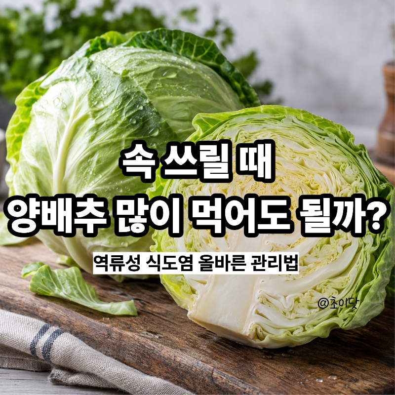 속 쓰릴 때 양배추 많이 먹어도 될까? 역류성 식도염 올바른 관리법