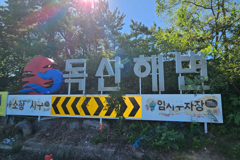 보령 독산해수욕장 해루질｜조개 많이 캘 수 있을까? 물때가 중요하더라!