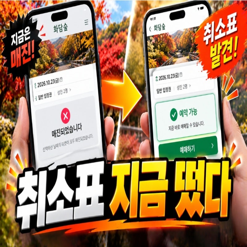 2026 단풍시즌 화담숲 취소표 풀리는 시간 및 수수료 (실제 성공 후기)