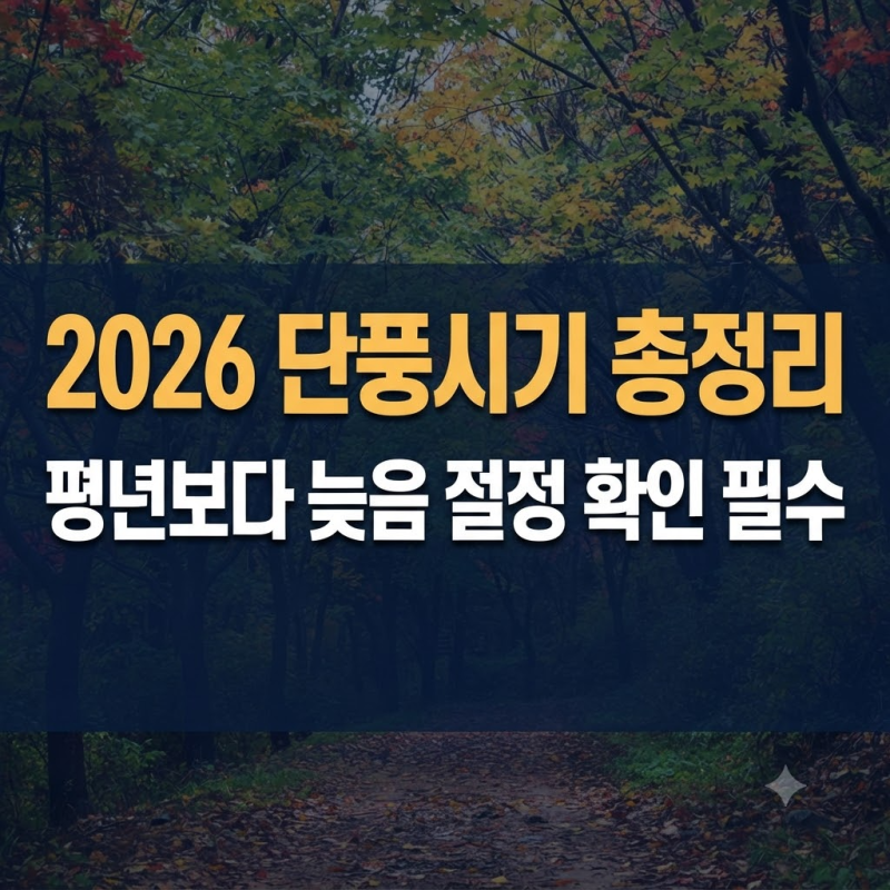 2026 단풍시기 총정리, 전국 단풍명소와 절정 예상일 한번에 보기