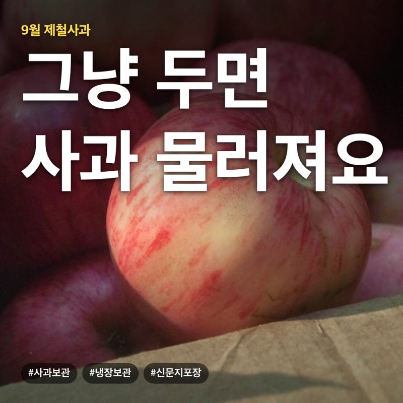 9월 제철사과 그냥 두면 물러요! 두 달 신선한 사과 냉장보관법