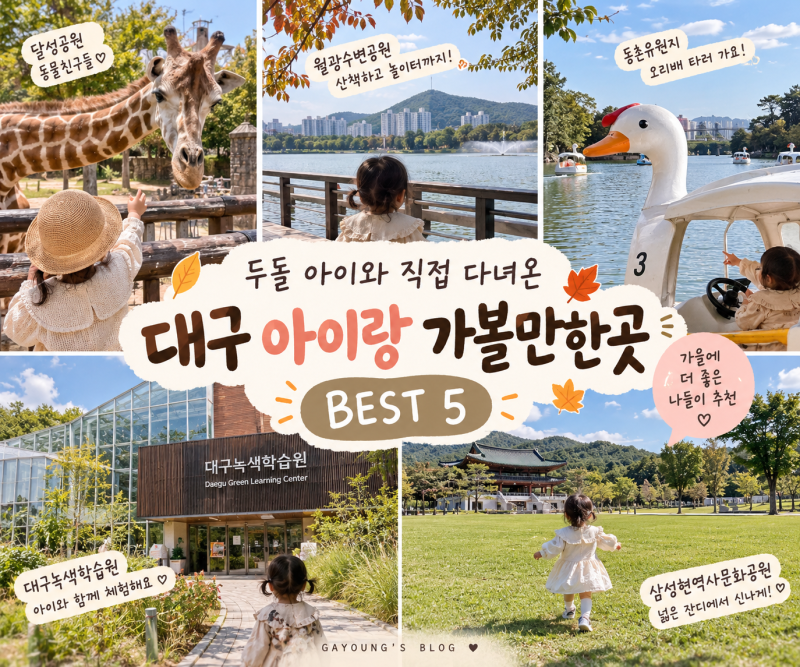 대구 아이랑 가볼만한곳 BEST 5｜두돌 아기와 가기 좋은 가을 나들이