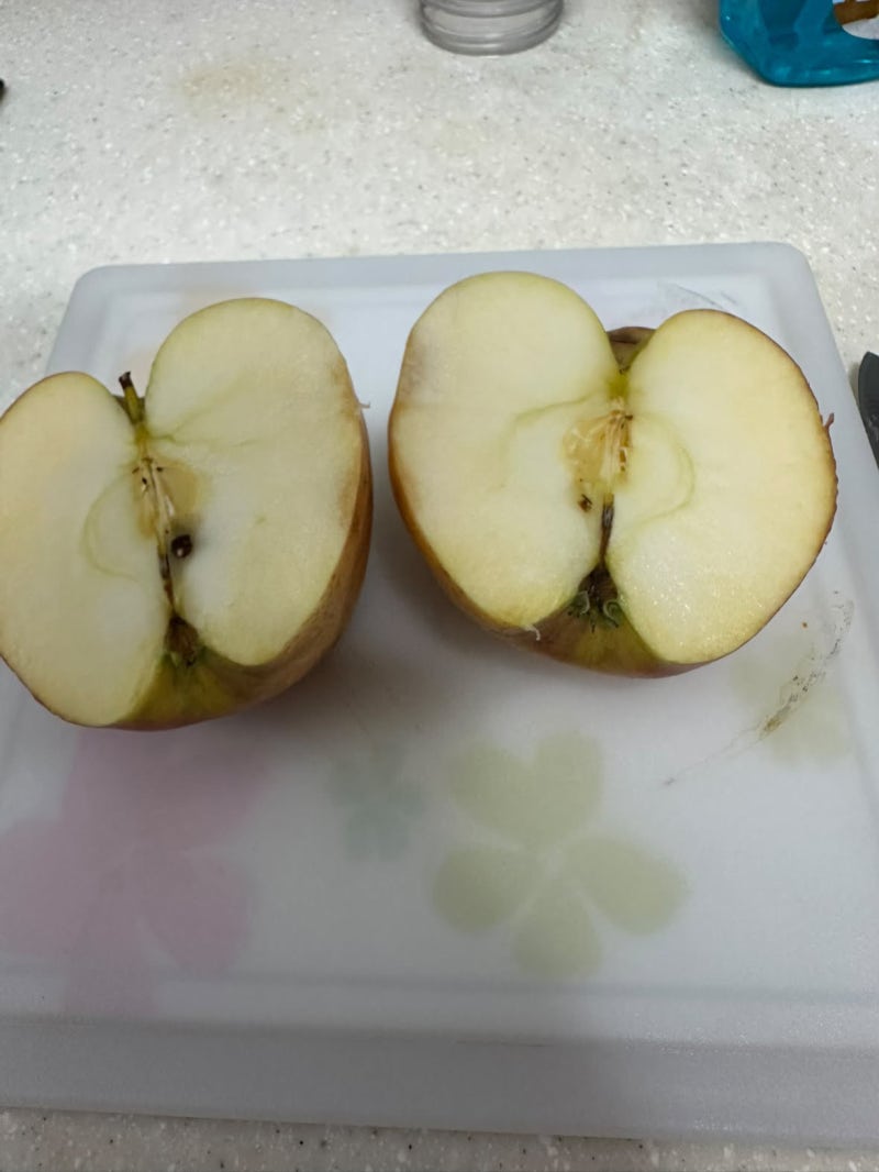 부담 없는 가격에 맛까지 챙긴 담다과일 홍로 사과 가정용 구매 후기