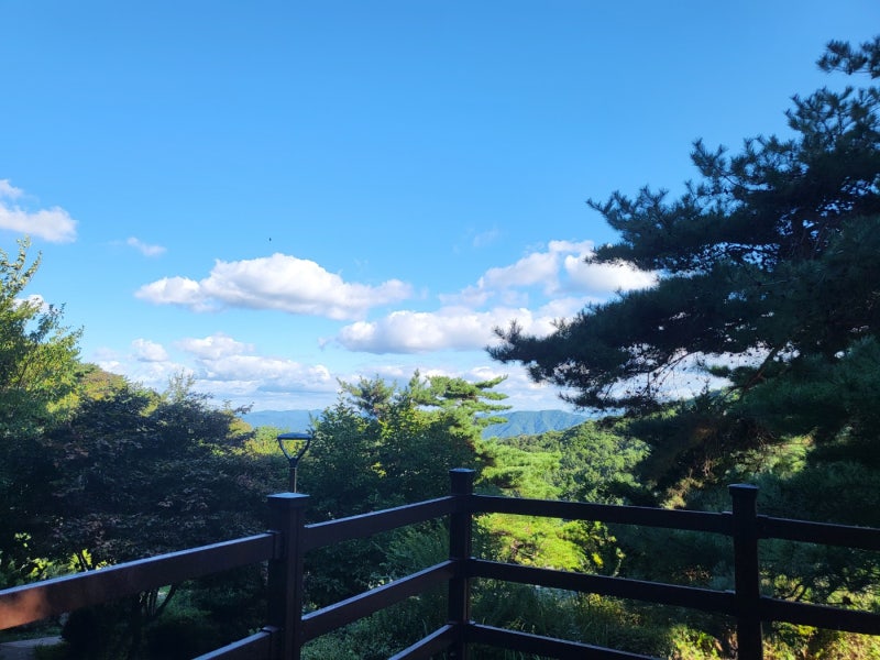 선선한 가을바람이 불어오는 9월, 대구·경북 근교 가을 캠핑장 추천｜팔공산국립공원 갓바....