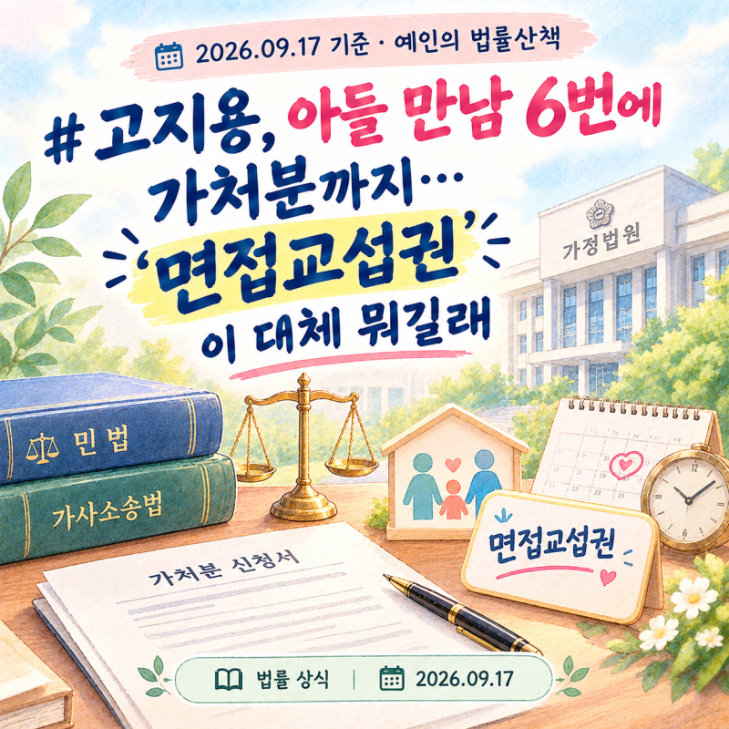 면접교섭권 뜻이 대체 뭐길래, 고지용 아들 만남 6번에 가처분까지 알아봅니다