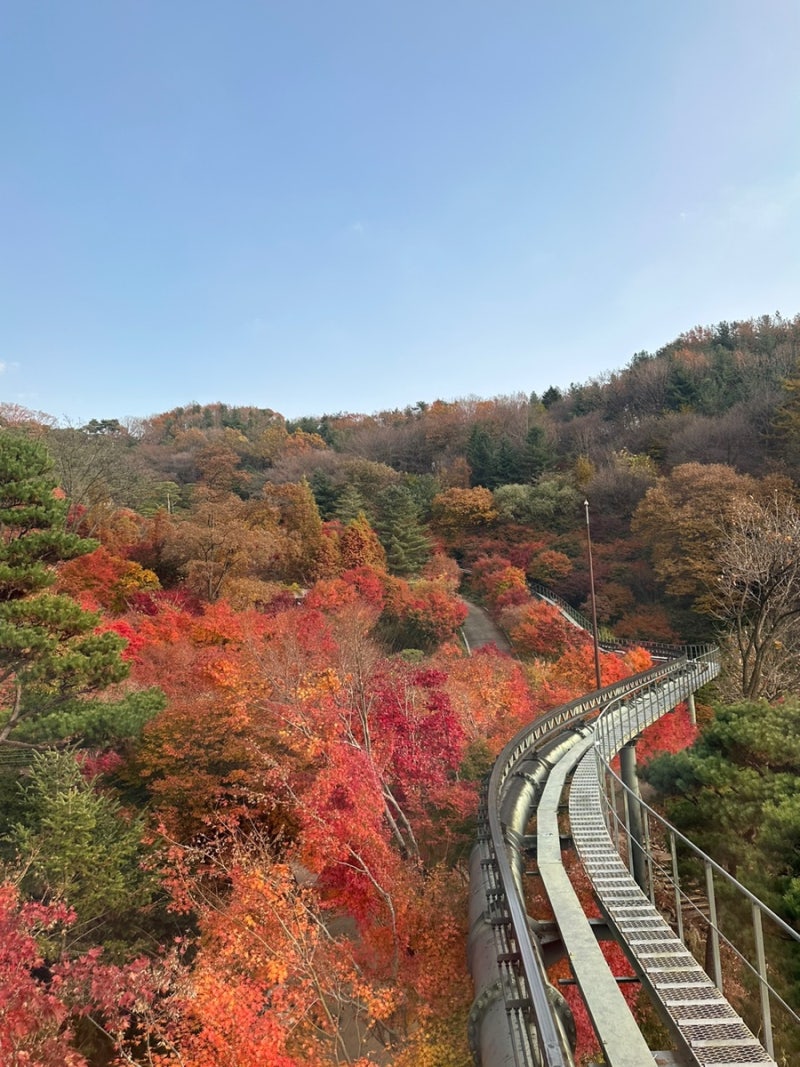 화담숲 예약 단풍시기 모노레일 추천 코스 꿀팁