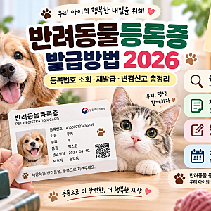 반려동물등록증 발급방법 2026 등록번호 조회·재발급·변경신고 총정리
