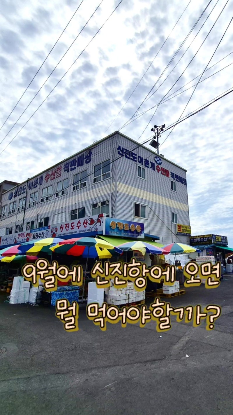 [태안] 신진도 신진항 ｜제철 가을 꽃게 시세부터 꽃게구매 후 꽃게찜 꽃게탕 먹는 방법