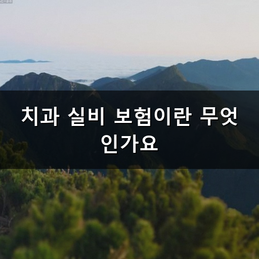 치과 실비 보험 적용 범위와 본인부담금 확인하는 방법