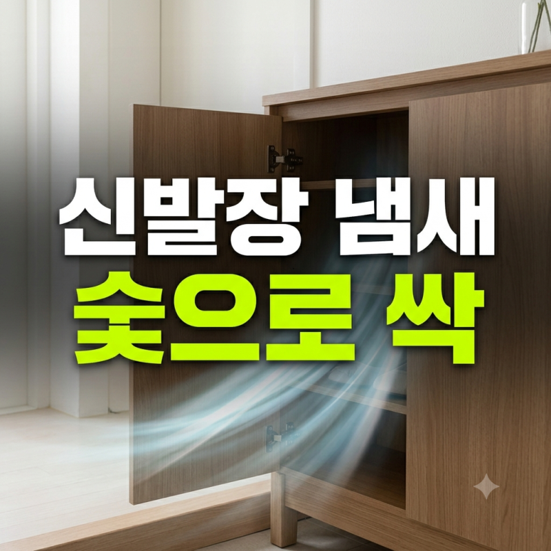 신발장 냄새 제거 방법! 숯 탈취제 활용 현관 악취 싹 잡는법