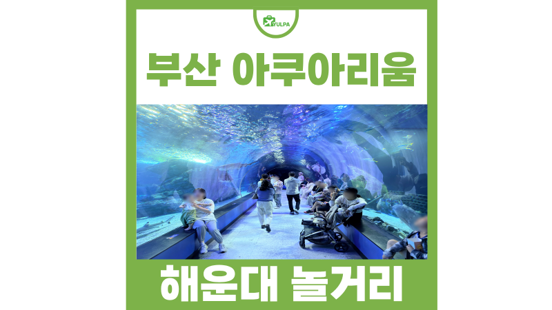 부산 가볼만한곳 해운대 놀거리 부산 아쿠아리움 할인 주차