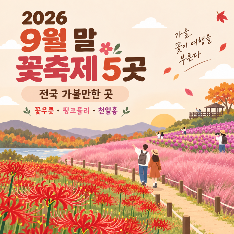 2026년 9월 말 전국 꽃축제 가볼만한곳 5곳 꽃무릇·핑크뮬리·천일홍